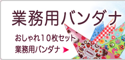 犬　ペットアクセサリー　業務用バンダナ（10枚セット）
