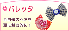 ネット特別限定品