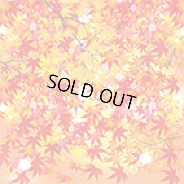 画像1: フォトグラフィーシート　もみじ (1)