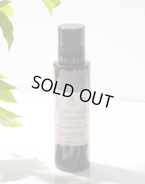 画像2: ピオニースレートリートメント【ＳｋｉｎＤｌｙ】 (2)