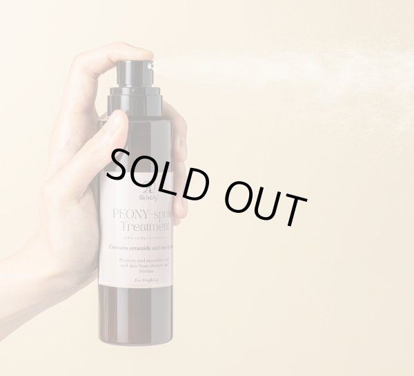 画像3: ピオニースレートリートメント【ＳｋｉｎＤｌｙ】 (3)