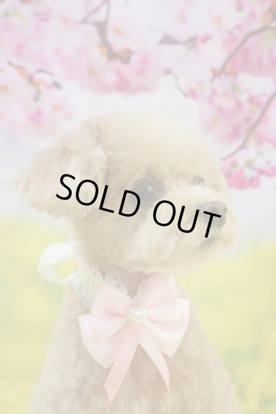 画像4: フォトグラフィーシート　桜と菜の花 (4)