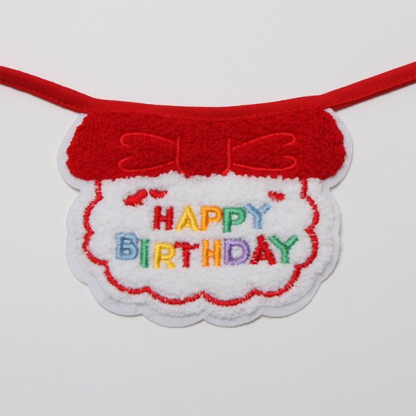 画像6: お誕生日スタイ (6)