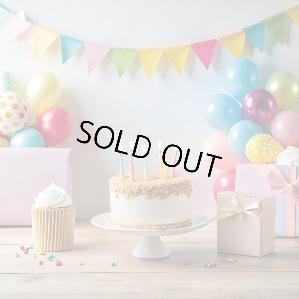 画像1: フォトグラフィーシート　HappyBirthday (1)