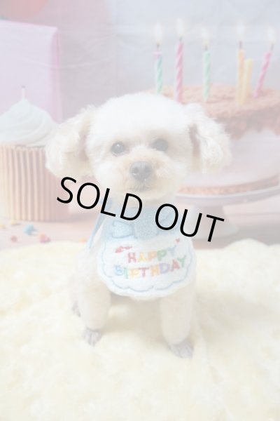 画像4: フォトグラフィーシート　HappyBirthday (4)