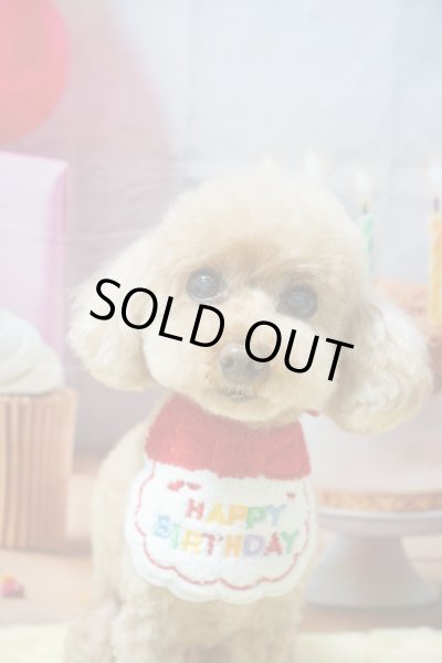 画像2: フォトグラフィーシート　HappyBirthday (2)