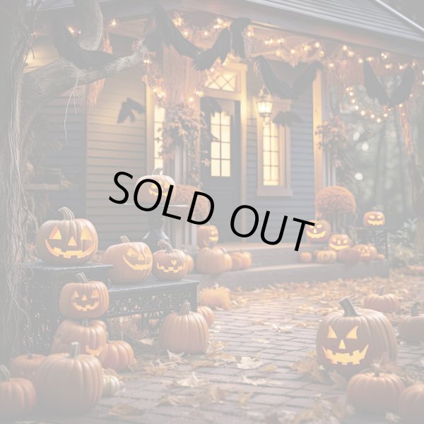 画像1: フォトグラフィーシート　パンプキン (1)