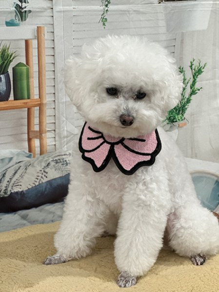 画像2: リボンスタイ (2)