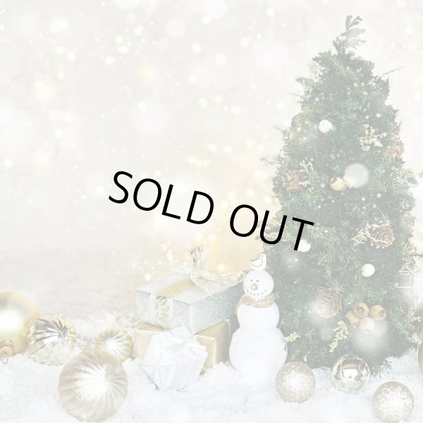 画像1: フォトグラフィーシート　スノーマン＆ツリー (1)