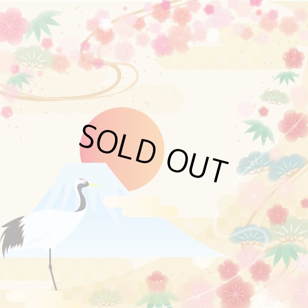 画像1: フォトグラフィーシート　新年 (1)