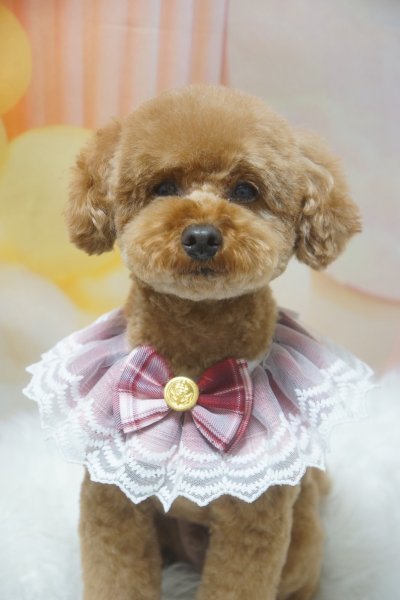 画像2: おめかしスタイ　男の子 (2)