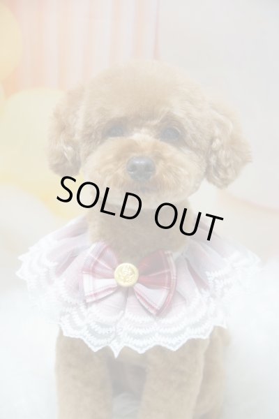 画像2: おめかしスタイ　男の子 (2)