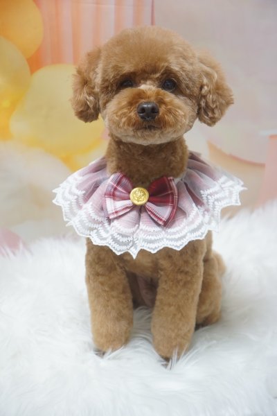 画像2: おめかしスタイ　女の子 (2)