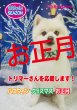 画像1: カタログ2025vol.5 お正月 (1)