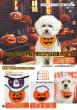 画像2: カタログ2025vol.5 ハロウィン (2)