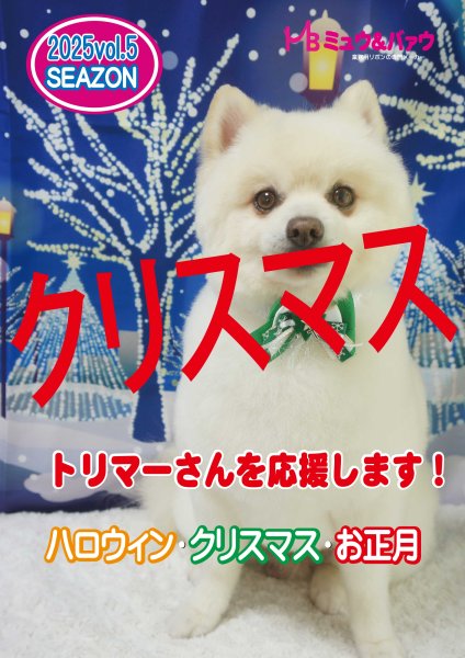 画像1: カタログ2025vol.5クリスマス (1)