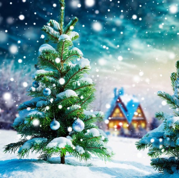 画像1: フォトグラフィーシート　クリスマスイブ (1)