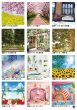 画像7: カタログ2025vol.6-2 (7)