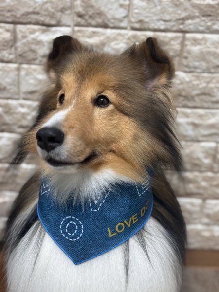 画像3: デザインバンダナ　ラブデニム　１０枚セット (3)