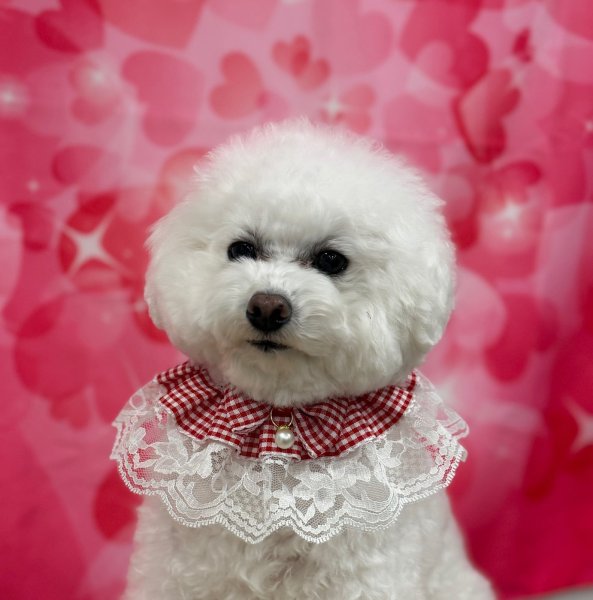 画像4: カントリードールスタイ (4)