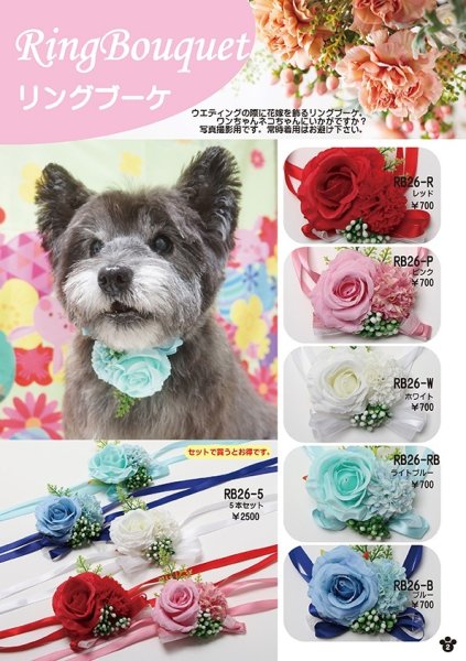 画像2: 2026vol.2-1 (2)