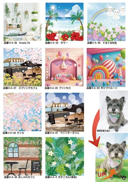 画像11: 2026vol.2-2 (11)