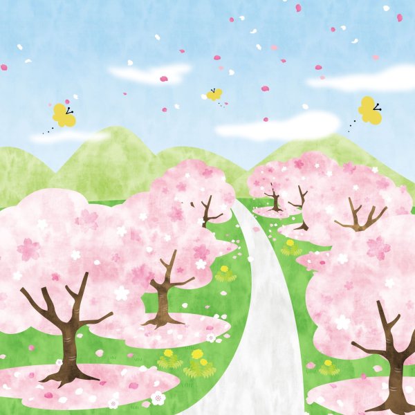 画像1: フォトグラフィーシート　さくら小道 (1)