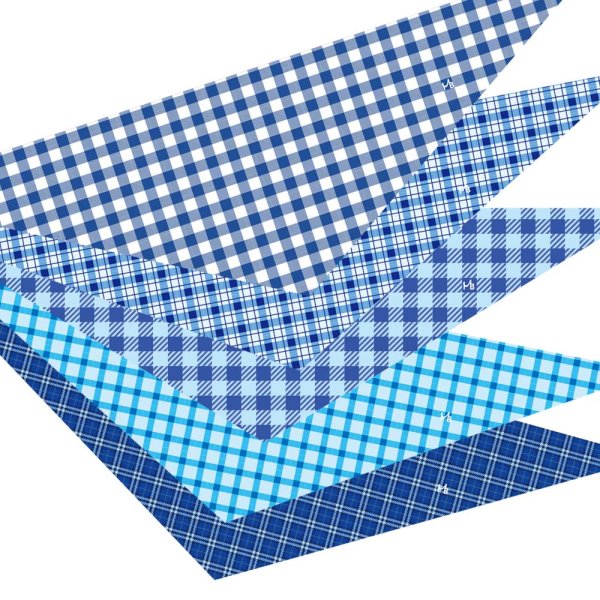 画像1: デザインバンダナ　チェックアソート男の子　１０枚セット (1)