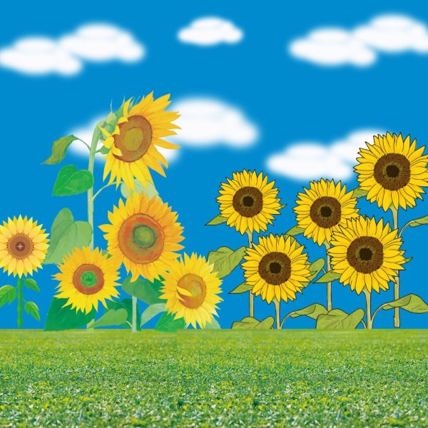 画像1: フォトグラフィーシート　ひまわり畑 (1)