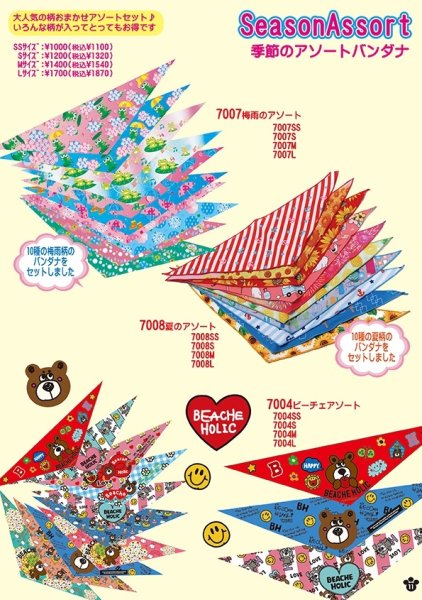 画像11: 2026vol.3-1 (11)