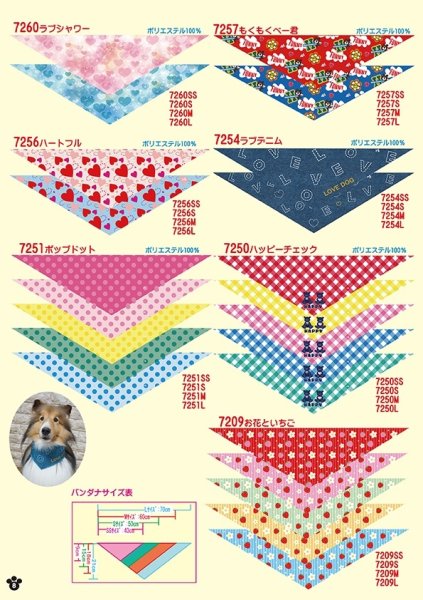 画像8: 2026vol.3-1 (8)