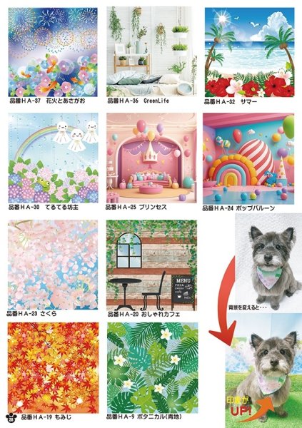 画像12: 2026vol.3-2 (12)