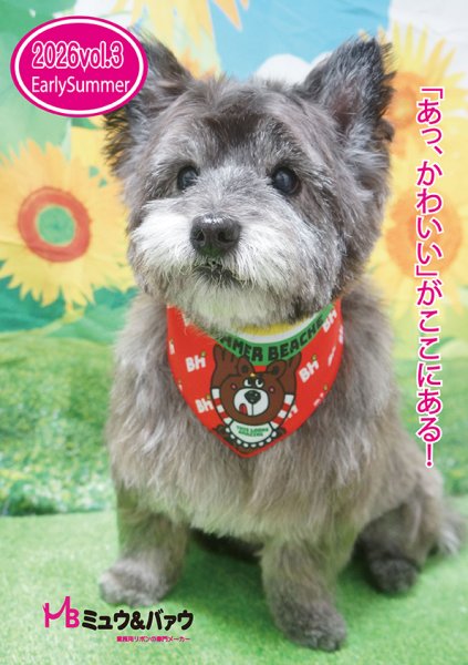 画像1: 2026vol.3-1 (1)