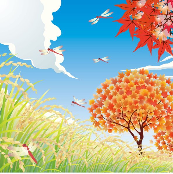 画像1: フォトグラフィーシート　秋空 (1)
