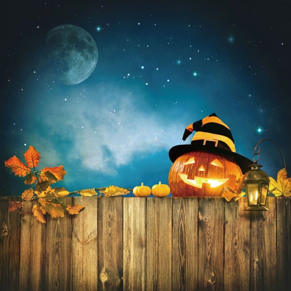 画像1: フォトグラフィーシート　ミッドナイトハロウィン (1)