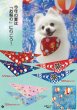 画像2: 2026vol.4-1 (2)