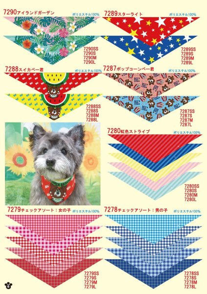 画像6: 2026vol.4-1 (6)
