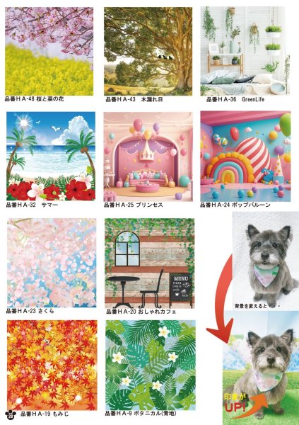 画像16: 2026vol.4-2 (16)