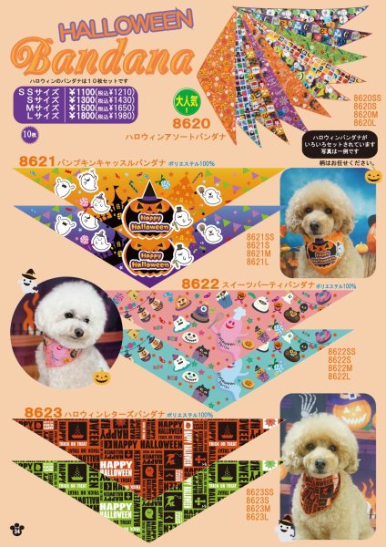 画像4: 2026vol.4-3 (4)