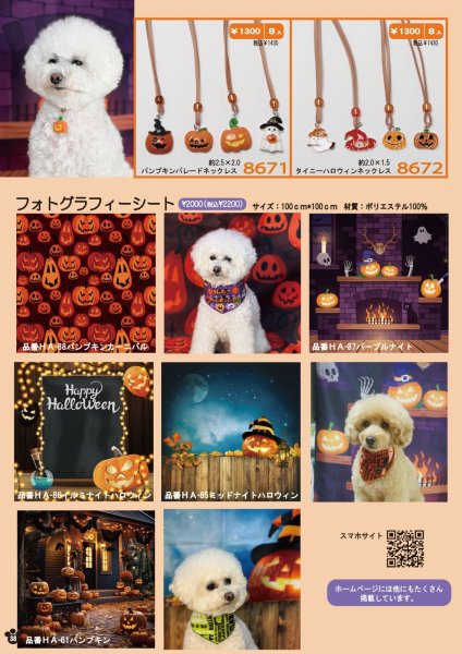 画像8: 2026vol.4-3 (8)
