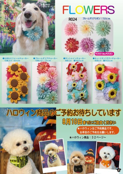 画像3: 2026vol.4-1 (3)