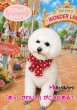 画像1: 2026vol.5-2 (1)