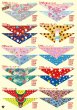 画像4: 2026vol.5-1 (4)