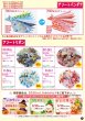 画像2: 2026vol.5-2 (2)