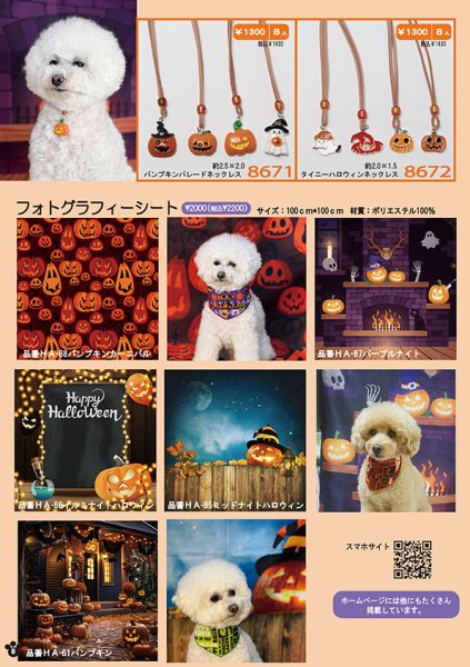 画像8: 2026vol.6-1　ハロウィン (8)