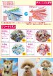 画像15: 2026vol.6-1 (15)