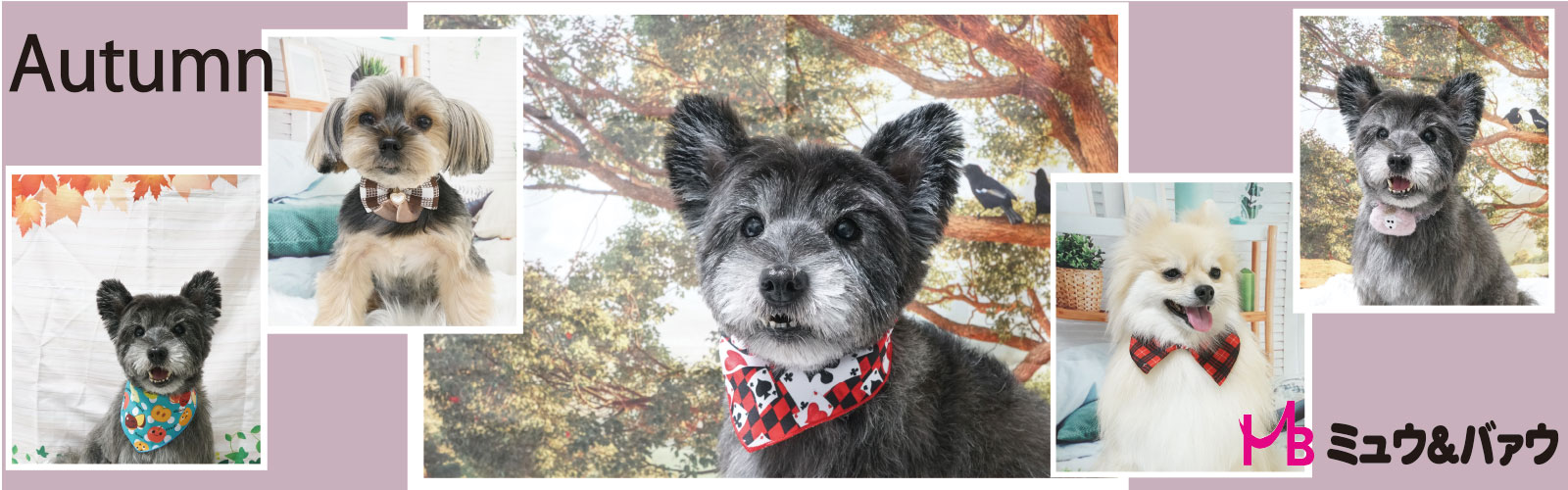 アヒルちゃんトリミングチョーカーオーダーページ