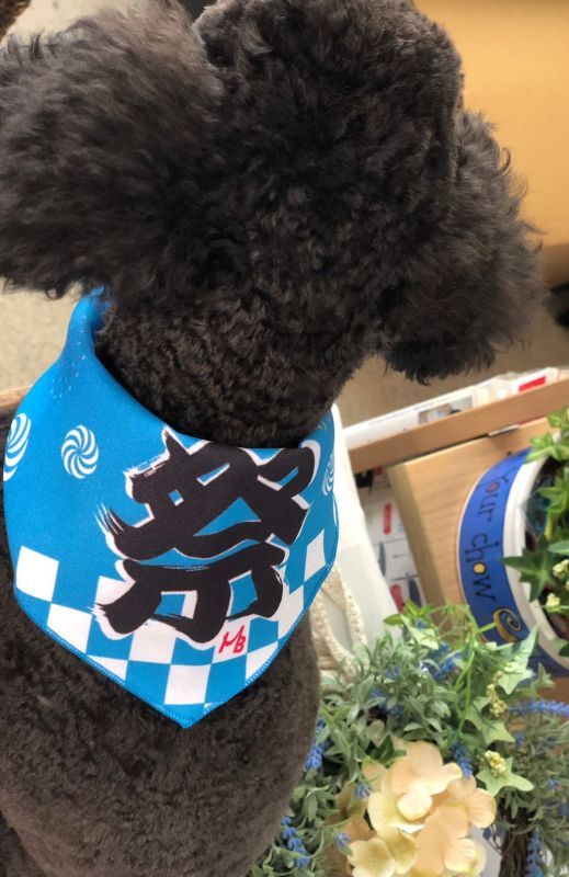 転送 ミネラル 代表 お祭り バンダナ Laborhealthalliance Ny Org 転送 ミネラル 代表 お祭り バンダナ Laborhealthalliance Ny Org